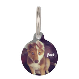 Personalisieren Sie Ihre eigenen Haustiermarke