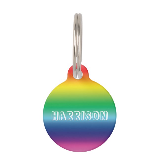 Personalisieren Sie LGBTQ-Hund, Haustiername, Info Haustiermarke (Vorderseite)