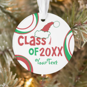 Personalisieren Sie lustige © Abschlussklasse Feie Ornament