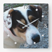 Personalisieren Sie mit Ihrer eigenen Pet-Wanduhr