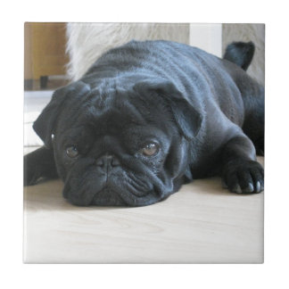 Personalisieren Sie niedlichen schwarzen Mops Welp Fliese
