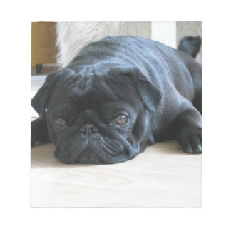Personalisieren Sie niedlichen schwarzen Mops Welp Notizblock