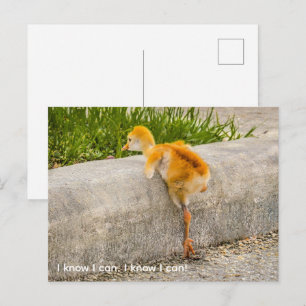 Personalisieren Sie süßes Küken "Ich weiß, ich kan Postkarte
