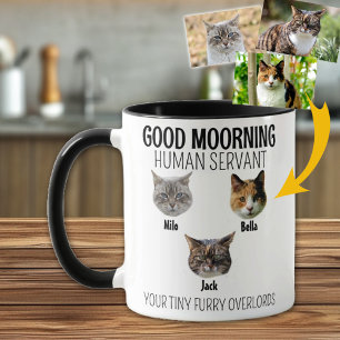 Personalisiert 3 Cat Foto Tasse