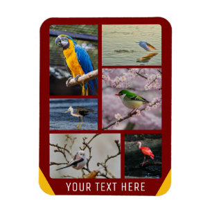 Personalisiert 5 Bilder - Flexibles Foto-Magnet Magnet
