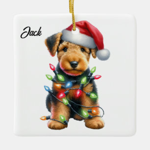 Personalisiert Airedale Terrier Terrier Keramikornament