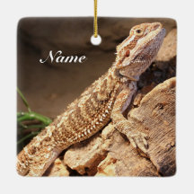 Personalisiert Baby Bearded Dragon Lizard