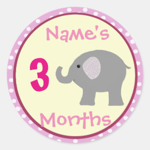 Personalisiert Baby Girl Elephant Month Stickers