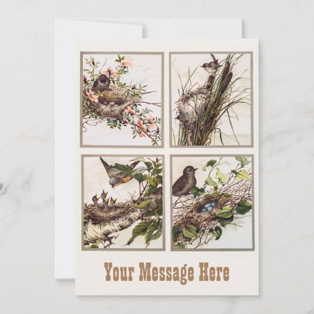 Personalisiert Bird Mama and Bird Baby - Mommy's D Dankeskarte (Vorderseite)