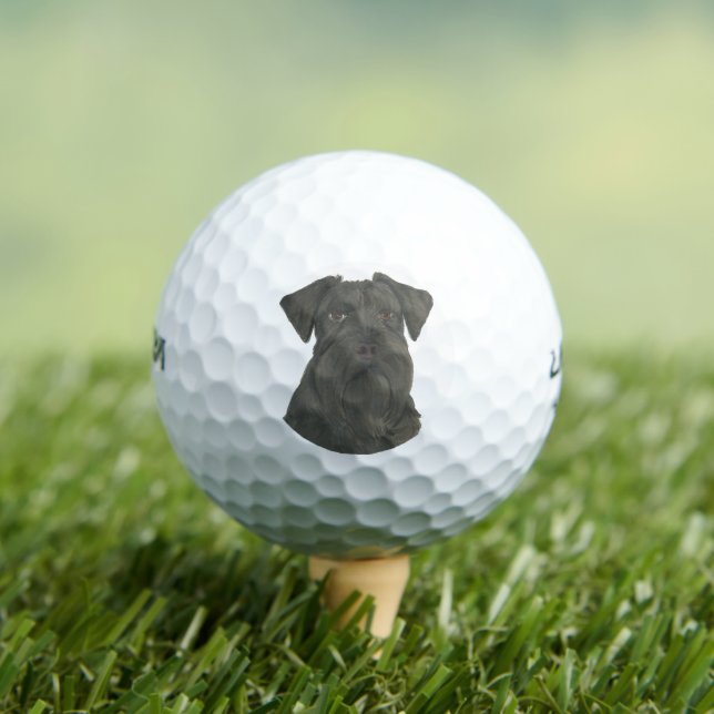 Personalisiert Black Schnauzer Golfball (Insitu T-Shirt)