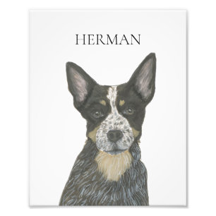 Personalisiert Blue Heeler Cattledog Fotodruck