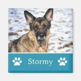 Personalisiert Blue Pet Foto Magnet