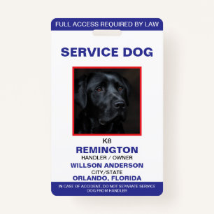 Personalisiert-Blue-White-Service-Hund-Foto-ID Ausweis