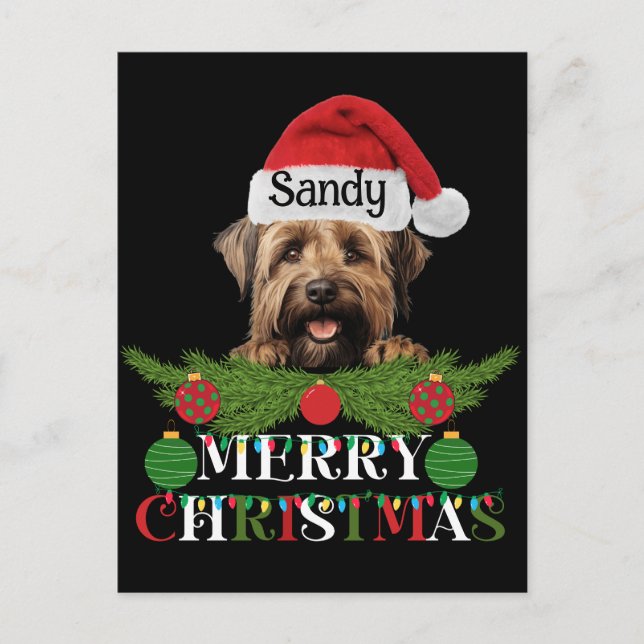 Personalisiert Briard Dog Frohe Weihnachten (Vorderseite)