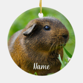 Personalisiert Brown Guinea Pig Keramik Ornament