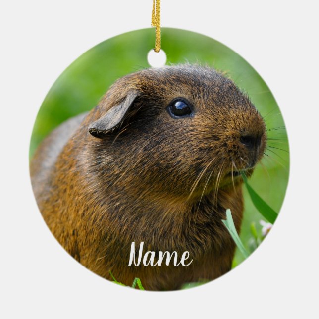Personalisiert Brown Guinea Pig Keramik Ornament (Hinten)