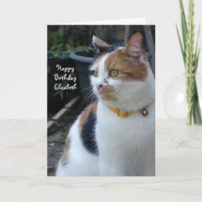 Personalisiert Calico niedliche Katze Geburtstag Karte (Vorderseite)