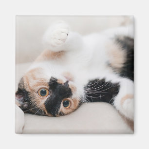 Personalisiert Cat Foto Kühlschrank Magnet