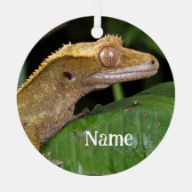 Personalisiert Crested Gecko Lizard