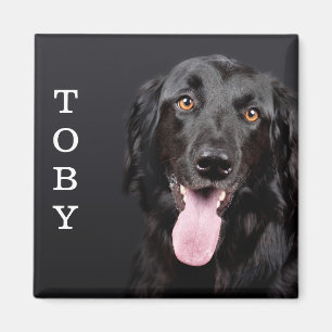 Personalisiert Dog Foto Kühlschrank Magnet