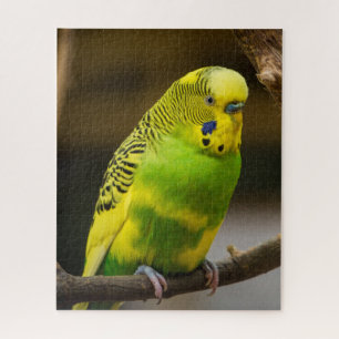 Personalisiert-Englisch-Budgie Parakeet Puzzle