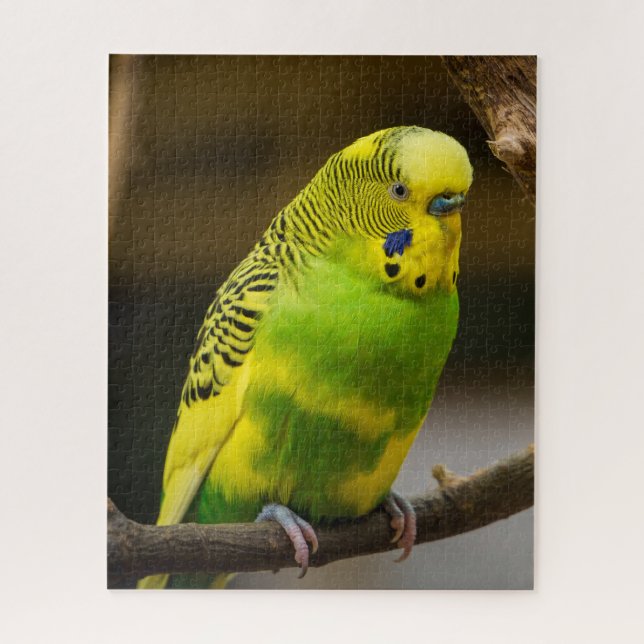 Personalisiert-Englisch-Budgie Parakeet Puzzle (Vertikal)
