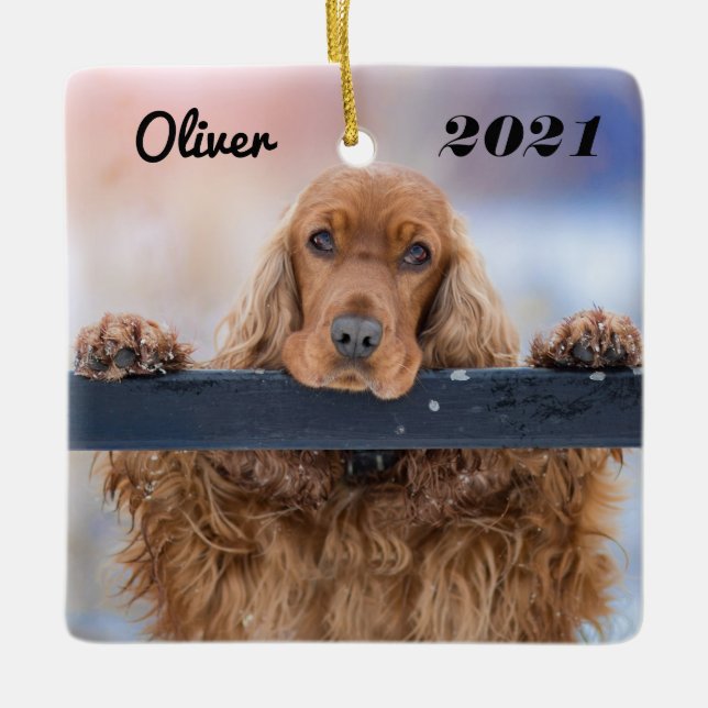 Personalisiert Fluffy Brown Cocker Spanel Dog Keramikornament (Vorderseite)