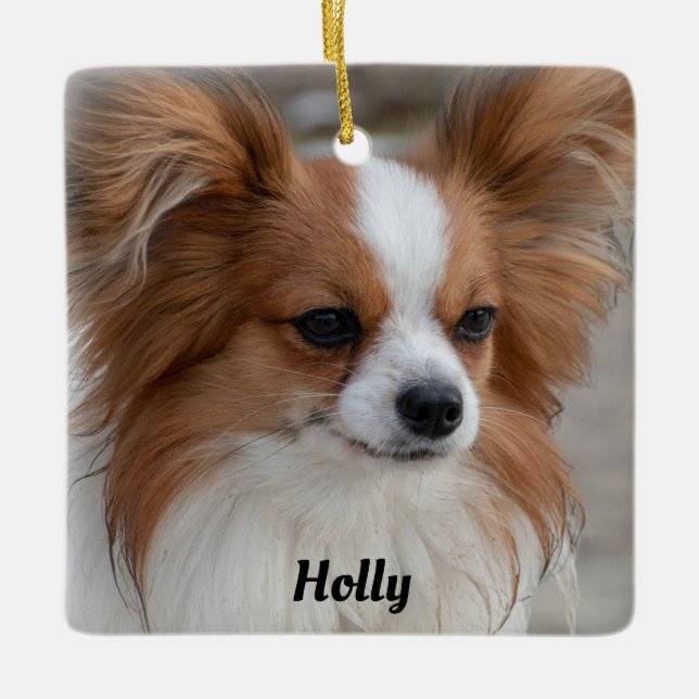 Personalisiert Friendly Papillon Puppy Dog Keramikornament (Vorderseite)