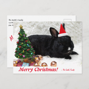 Personalisiert Frohe Weihnachten Bunny Rabbit Post Postkarte