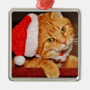 Personalisiert Frohe Weihnachten Orange Tabby Cat Ornament Aus Metall