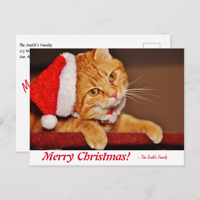 Personalisiert Frohe Weihnachten Orange Tabby Cat  Postkarte (Vorne/Hinten)