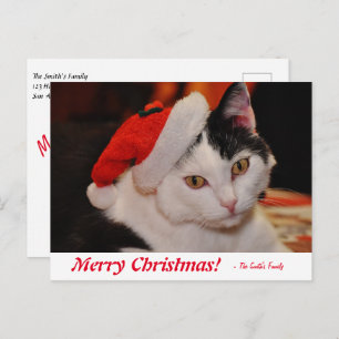 Personalisiert frohe Weihnachten Schwarz-Weiß Katz Postkarte