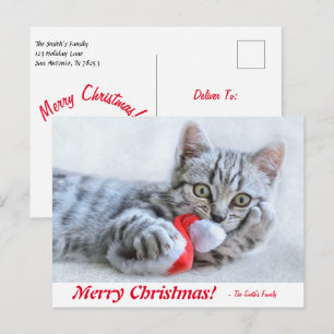 Personalisiert Frohe Weihnachts-Kitten mit Weihnac Postkarte