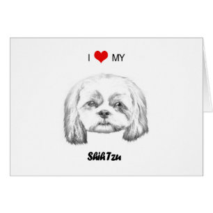 Personalisiert habe ich meine schicke Tzu-Bleistif