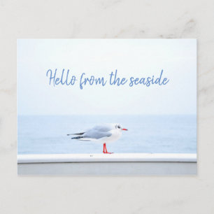 Personalisiert// Hallo // Seagull Postkarte