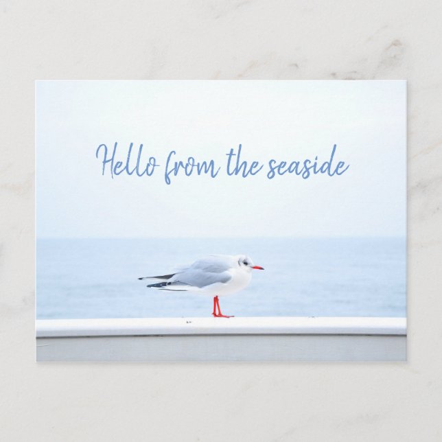 Personalisiert// Hallo // Seagull Postkarte (Vorderseite)