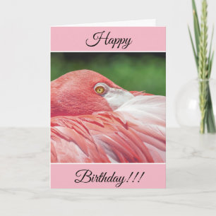 Personalisiert Happy Birthday Flamingo Card Karte