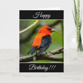 Personalisiert Happy Birthday Scarlet Tanager Card Karte