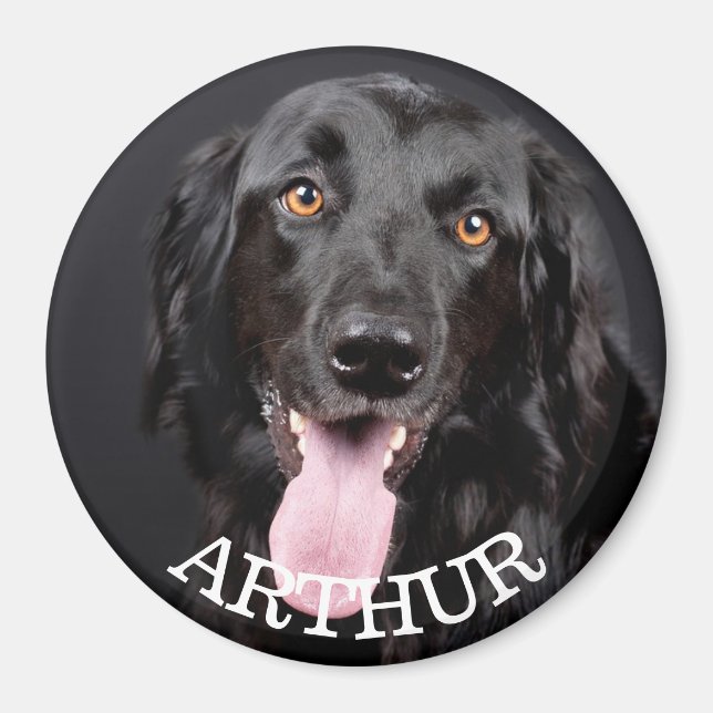 Personalisiert Hund Foto Kühlschrank Magnet (Vorne)