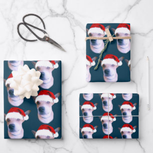 Personalisiert Hunde Foto Blauer Weihnachten Geschenkpapier Set