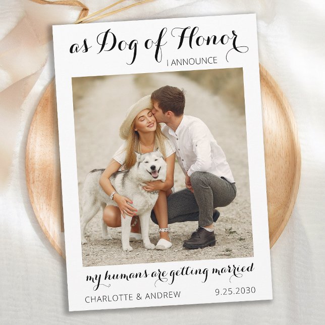 Personalisiert Hunde Hunde Foto Moderne Script Hoc Save The Date (Von Creator hochgeladen)