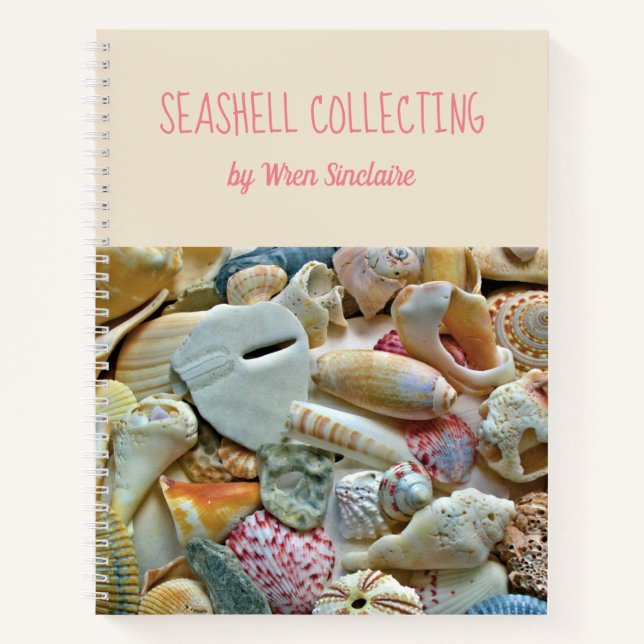 Personalisiert Journal Florida Seashells Notizbuch (Vorderseite)