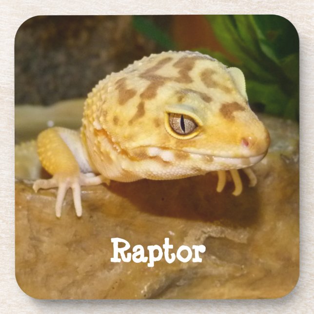 Personalisiert Leopard Gecko Lizard Getränkeuntersetzer (Vorderseite)