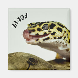 Personalisiert Leopard Gecko Lizard Magnet
