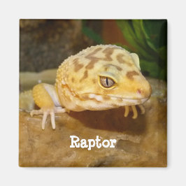 Personalisiert Leopard Gecko Lizard Magnet