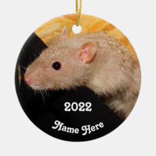 Personalisiert Lilac Mink Extravagant Pet Rat Keramik Ornament