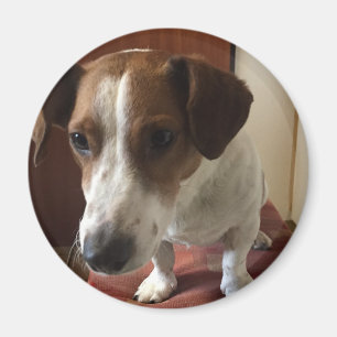 Personalisiert Magnete