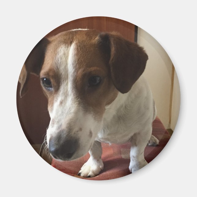 Personalisiert Magnete (Vorne)