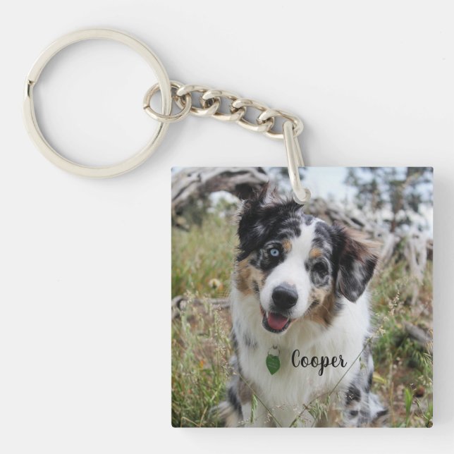 Personalisiert Merle Australian Shepherd Puppy Schlüsselanhänger (Vorderseite)
