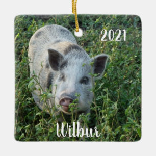Personalisiert Mini Juliana Pet Pig Keramikornament